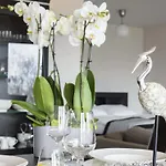 Diune Apartment Kolberg